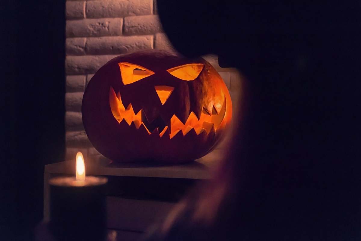 plant lighted pumpkin on brown wooden table halloween