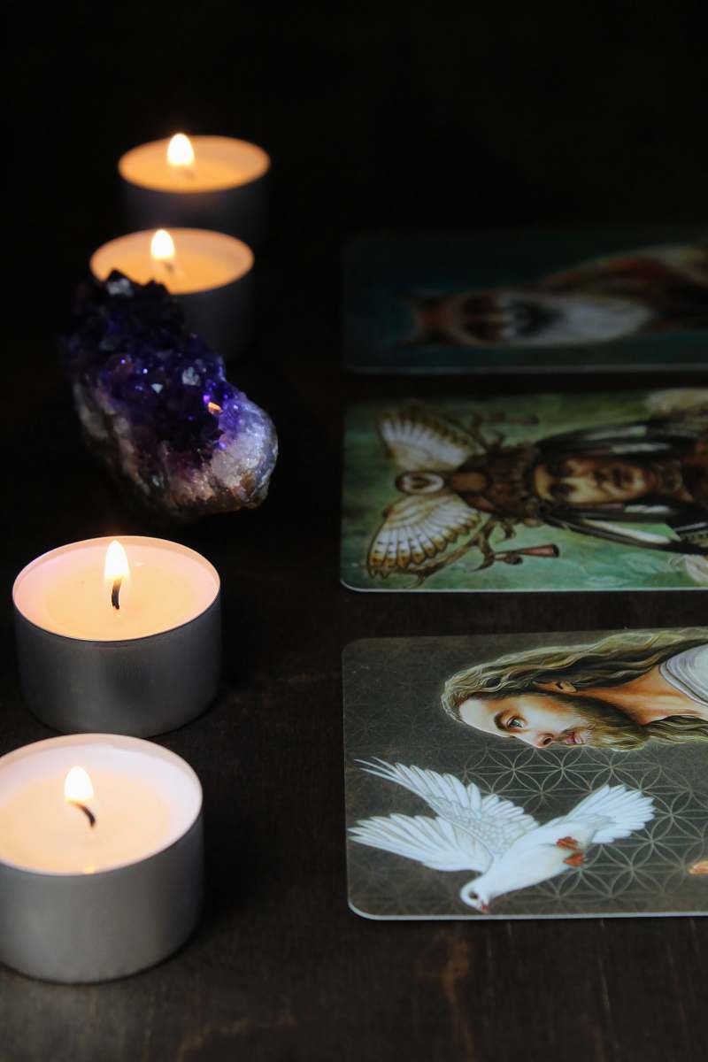 animal white candle on black table fish
