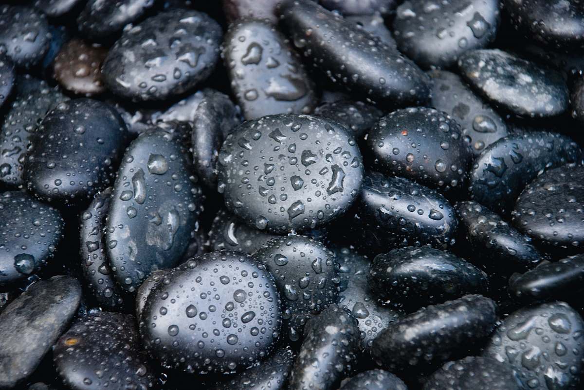 blueberry black stones with water dew food
