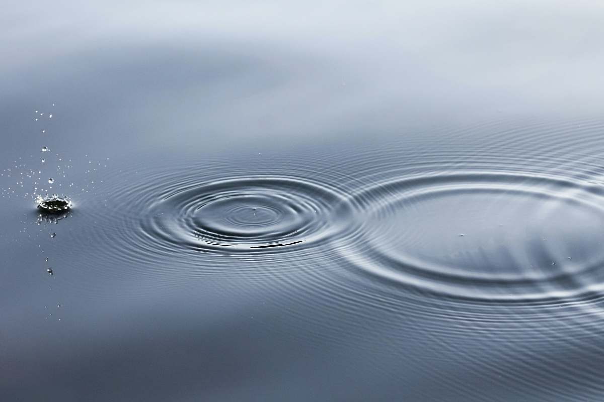 nature water ripple ripple