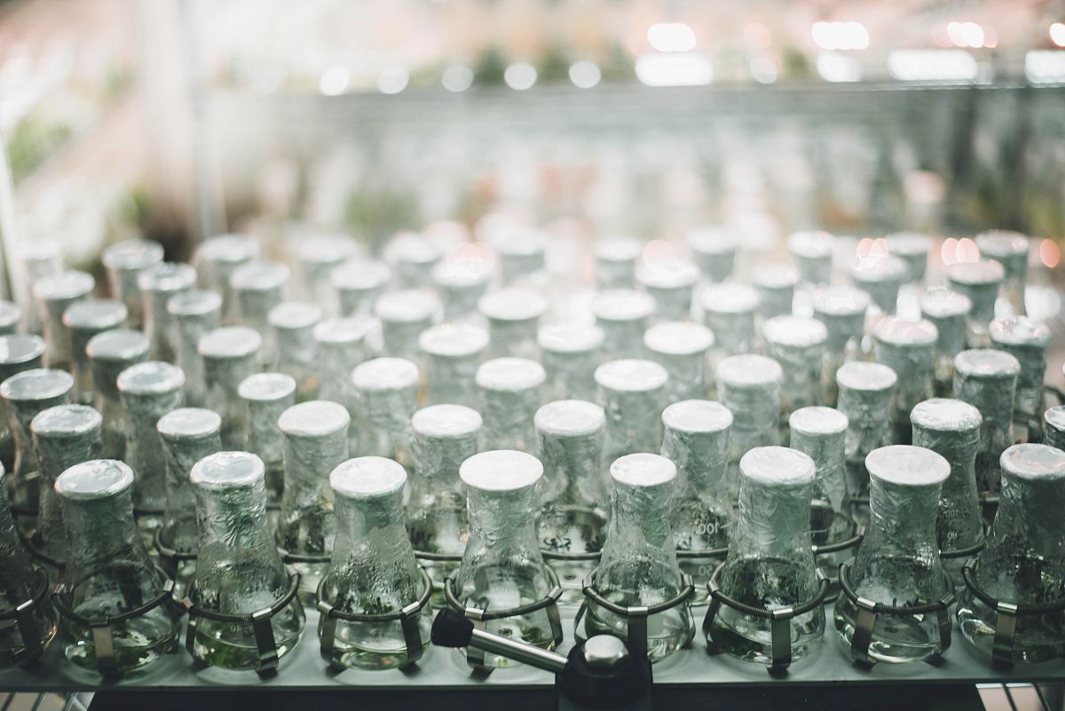 a glass display case filled with glass jars