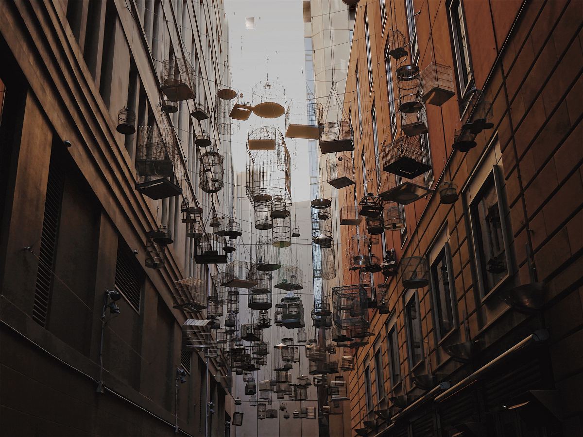 assorted birdcages hanging above the street