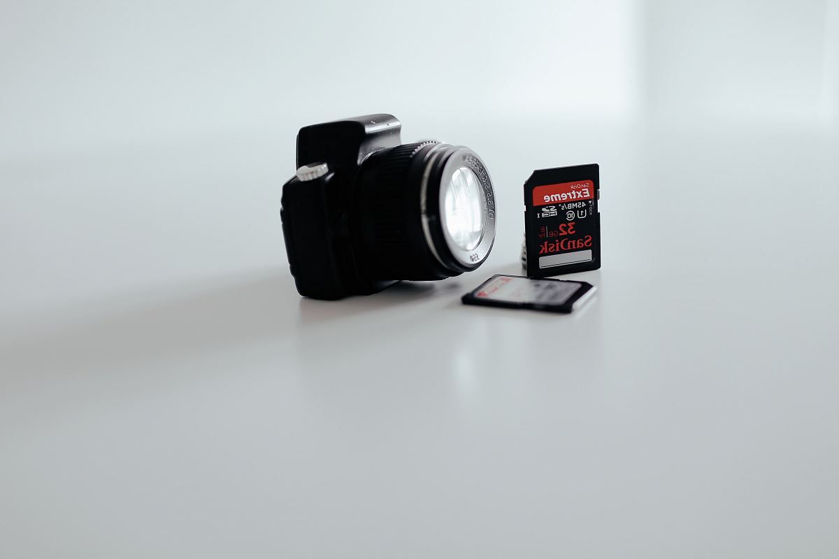 black and gray Canon DSLR camera with two SD card