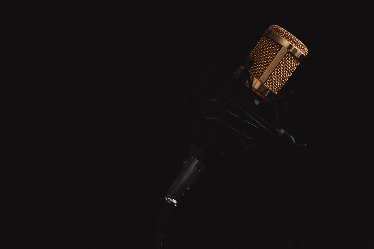 black and gray condenser microphone