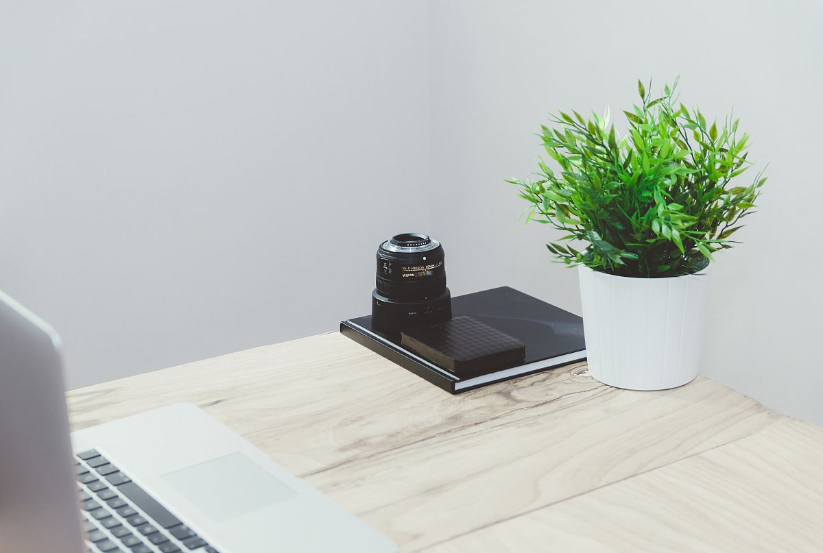 black camera on table near green plant on pot inside the room