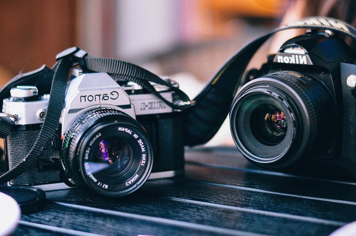 black Canon and Nikon camera in macro shot photography