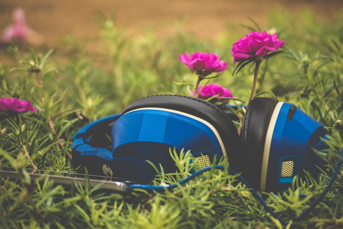 focus photography of blue headphones on grass