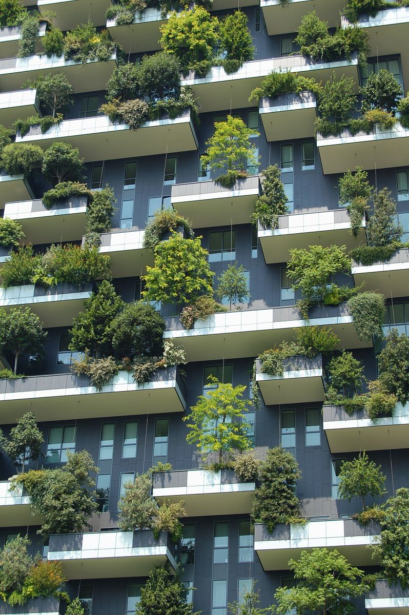 low angle photo of gray building with green plants