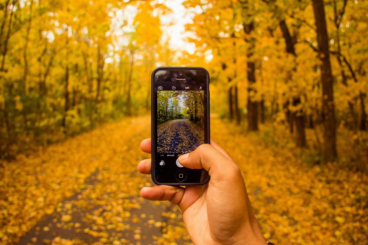 person using camera on Android smartphone