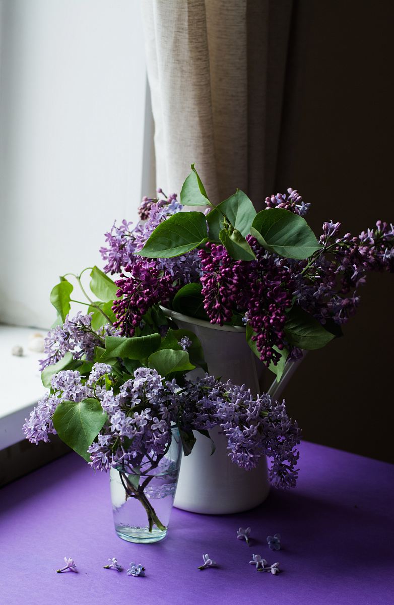 purple flower with green leafed on table