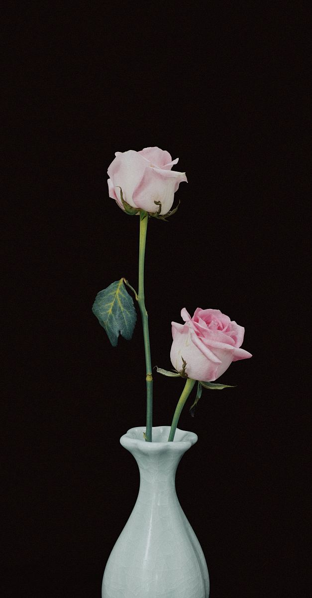 two pink rose flowers in vase