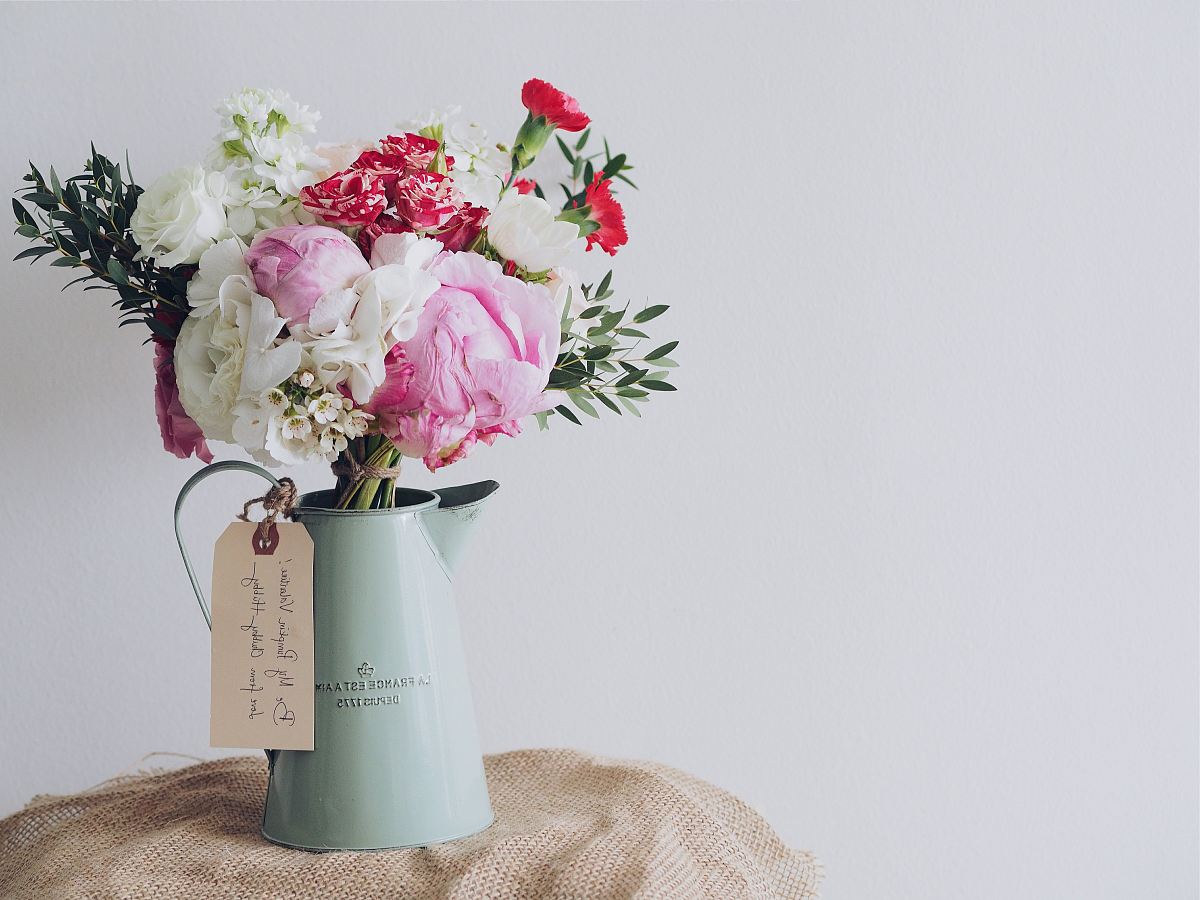 white and pink flowering plant