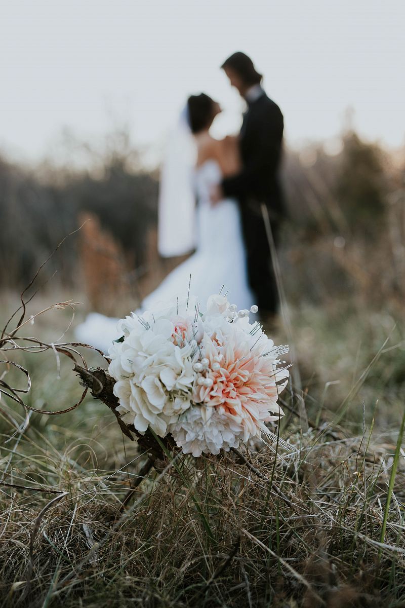 white and pink flowers