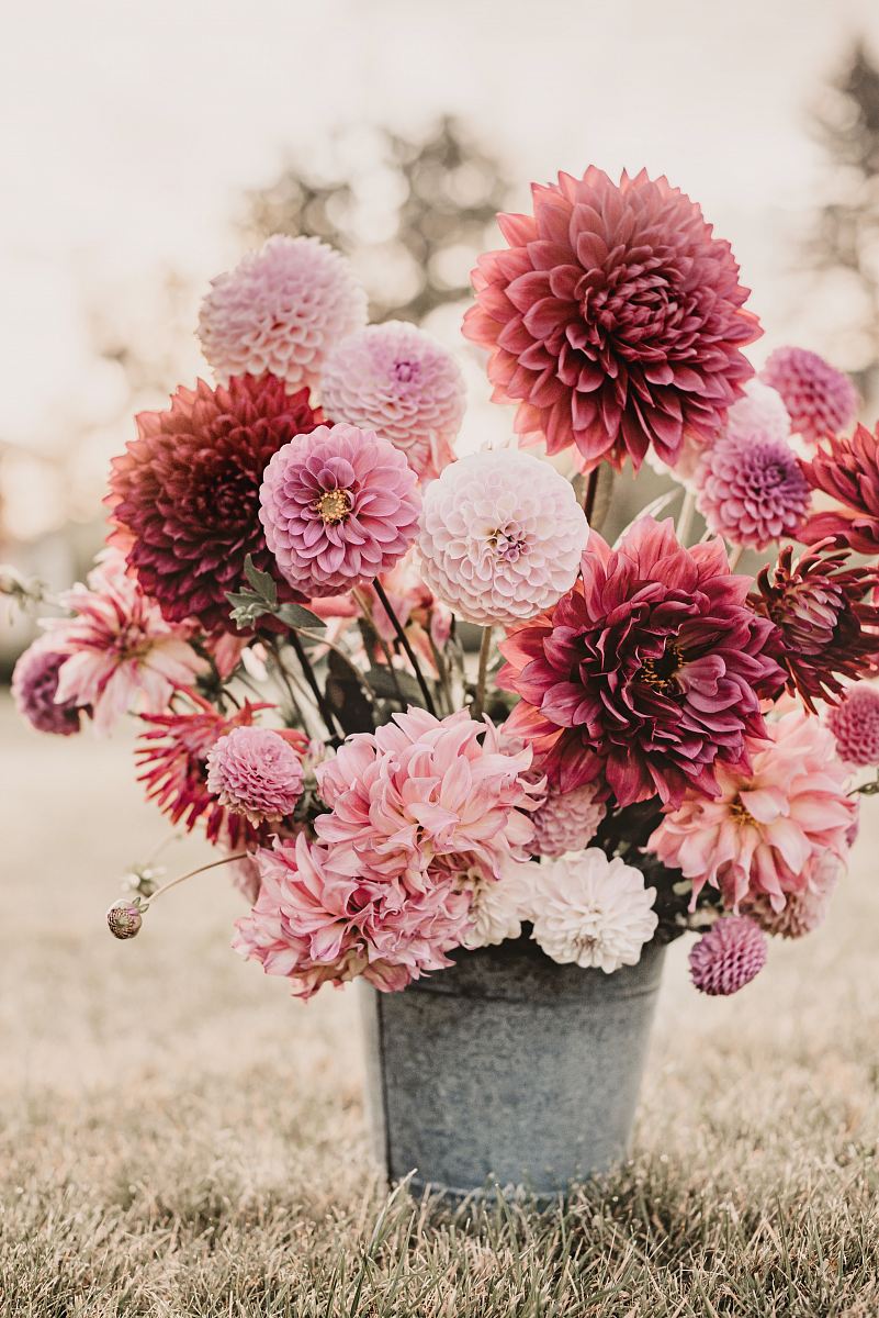 white, pink, and red flower arrangement with gray bucket during daytime