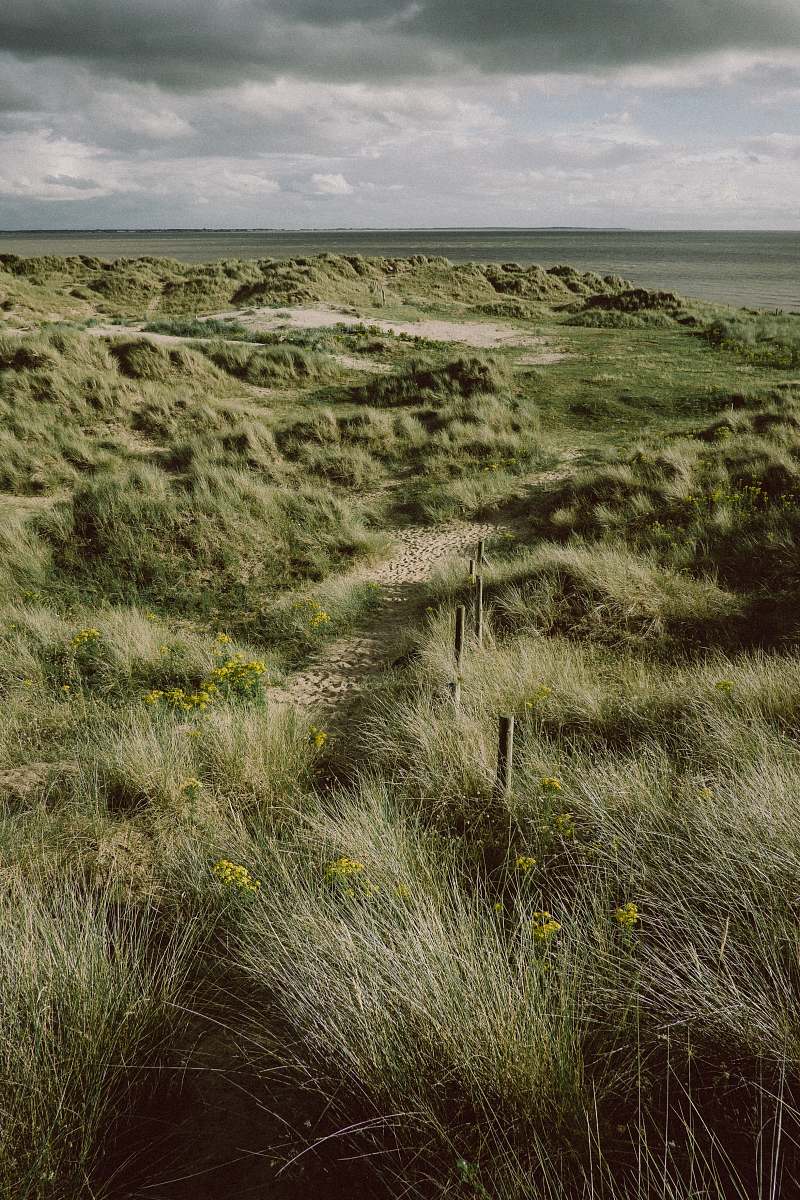 field grass field under cloudy sky during daytome iphone wallpapers