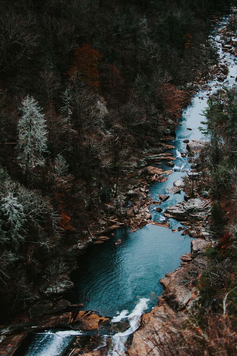 water aerial photography of body of water with trees around wallpaper