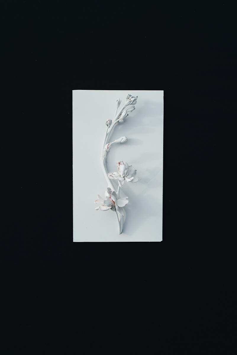 art white decorative floewr canvas