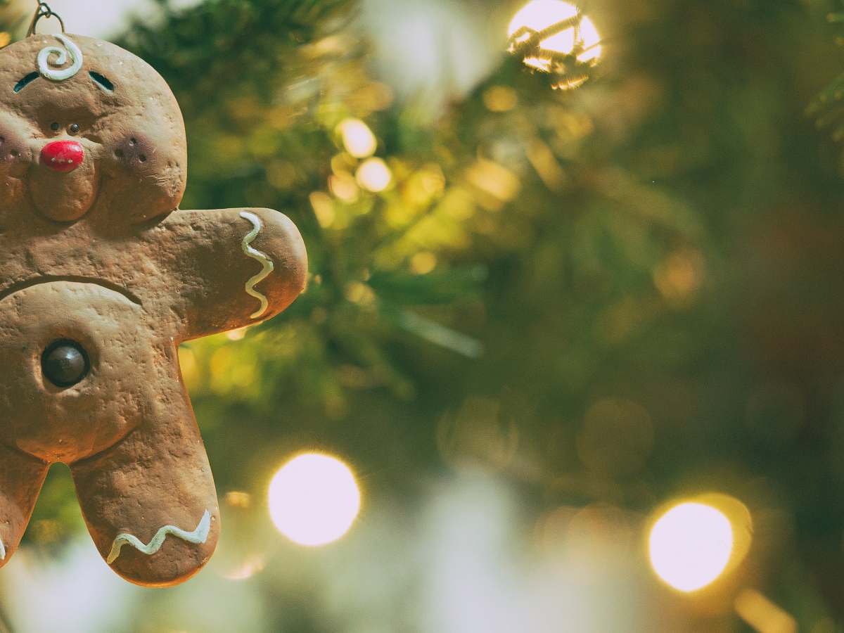 ornament photography of gingerbread holiday