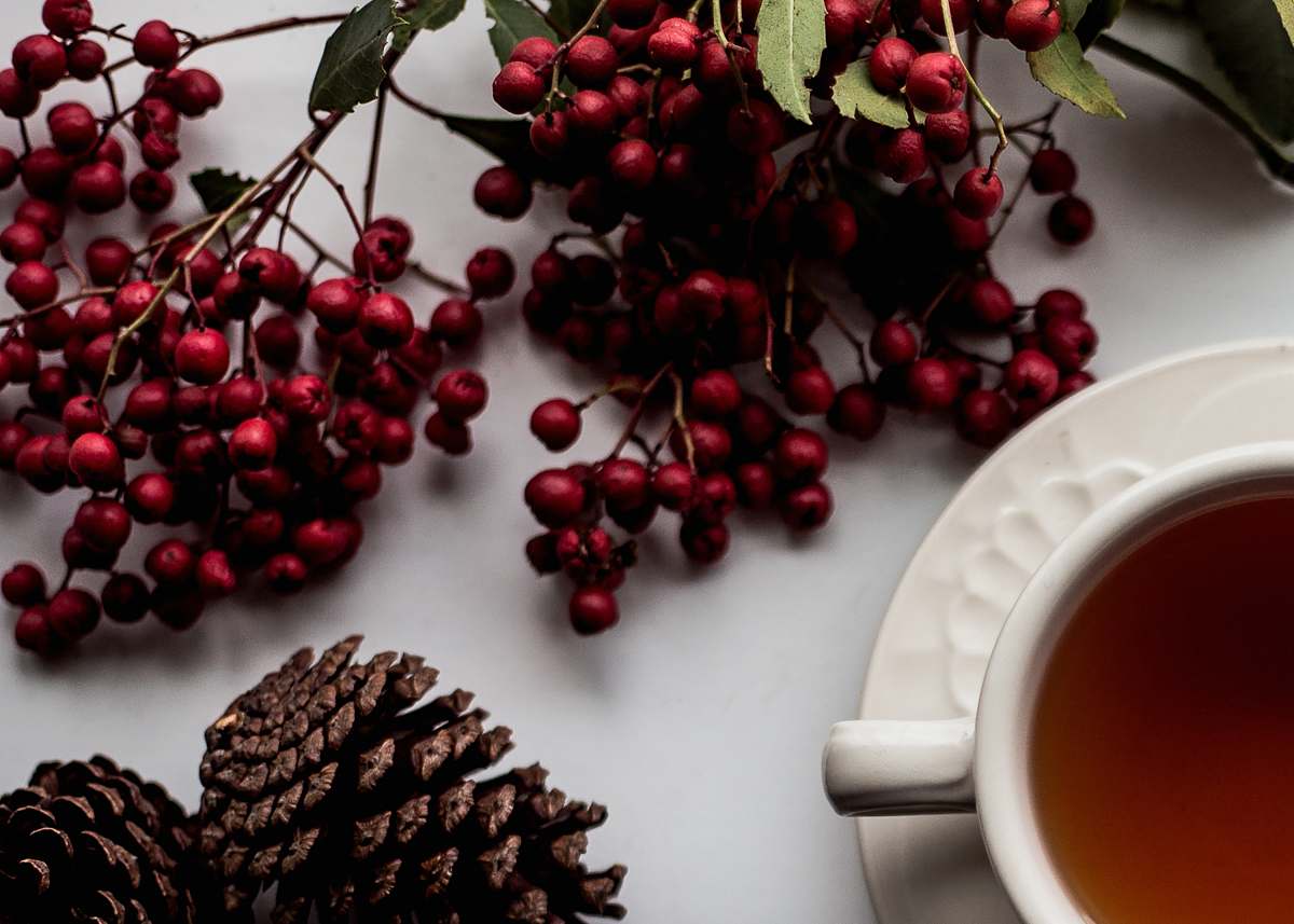 tea red cherry on white surface red