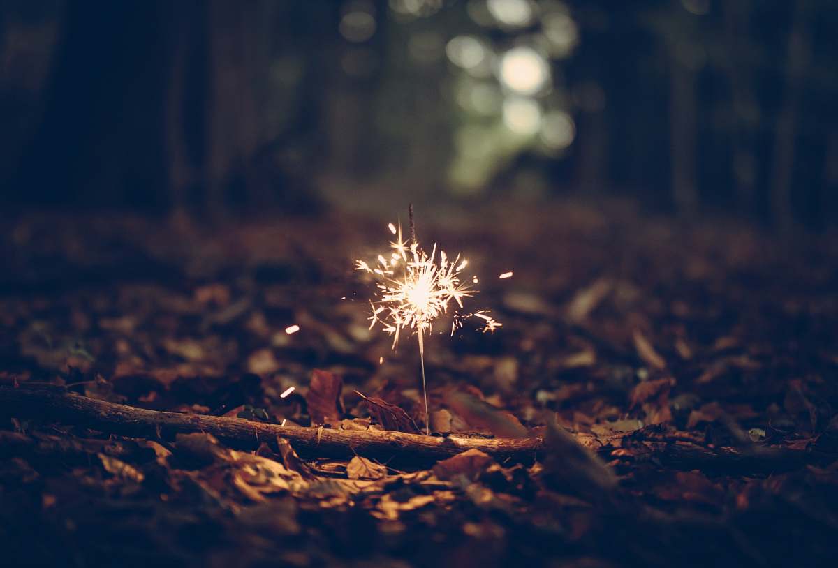 night firework in the woods outdoors
