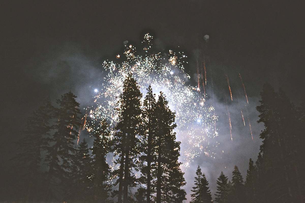 trees fireworks display tree