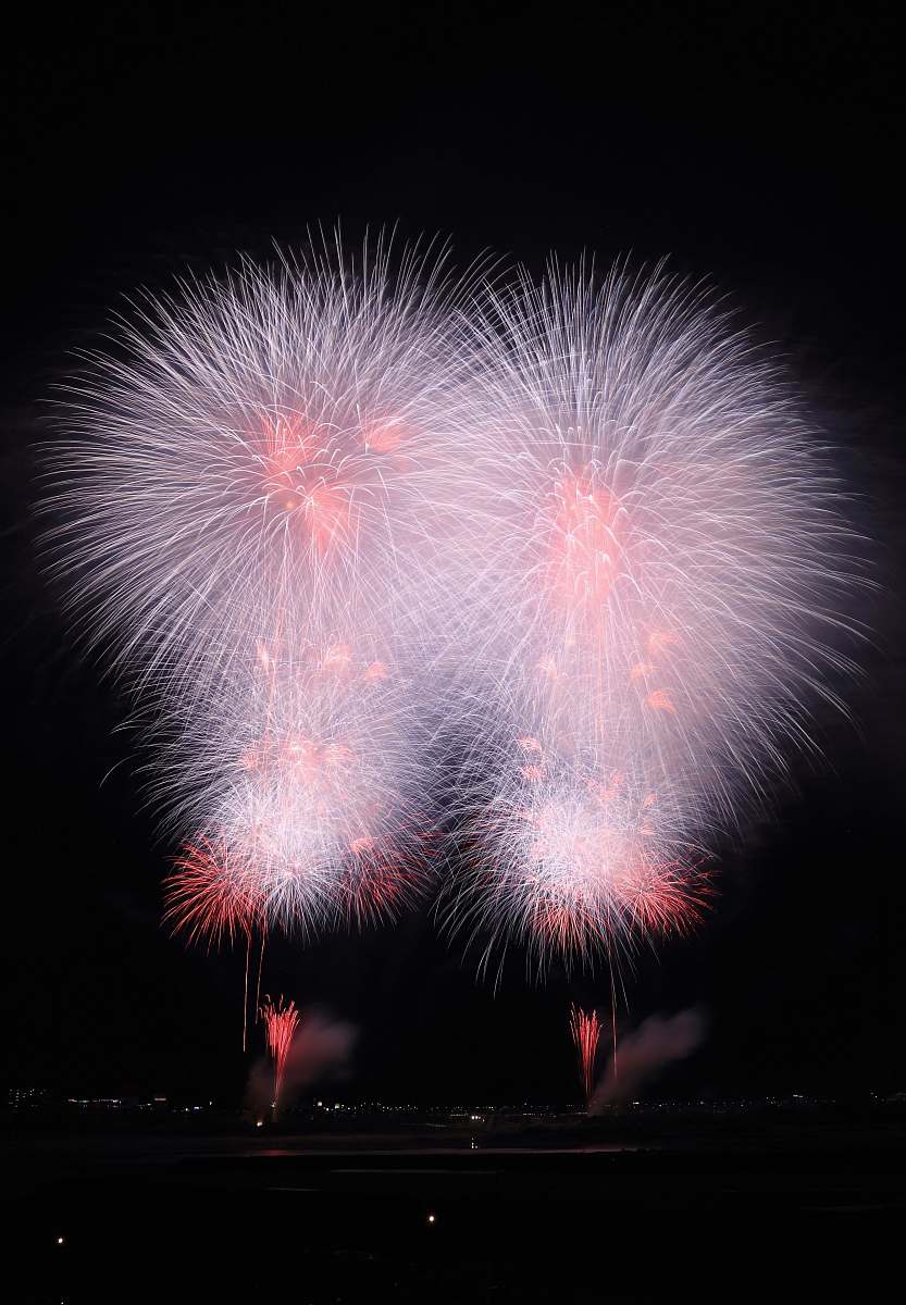 night white and red fireworks display firework