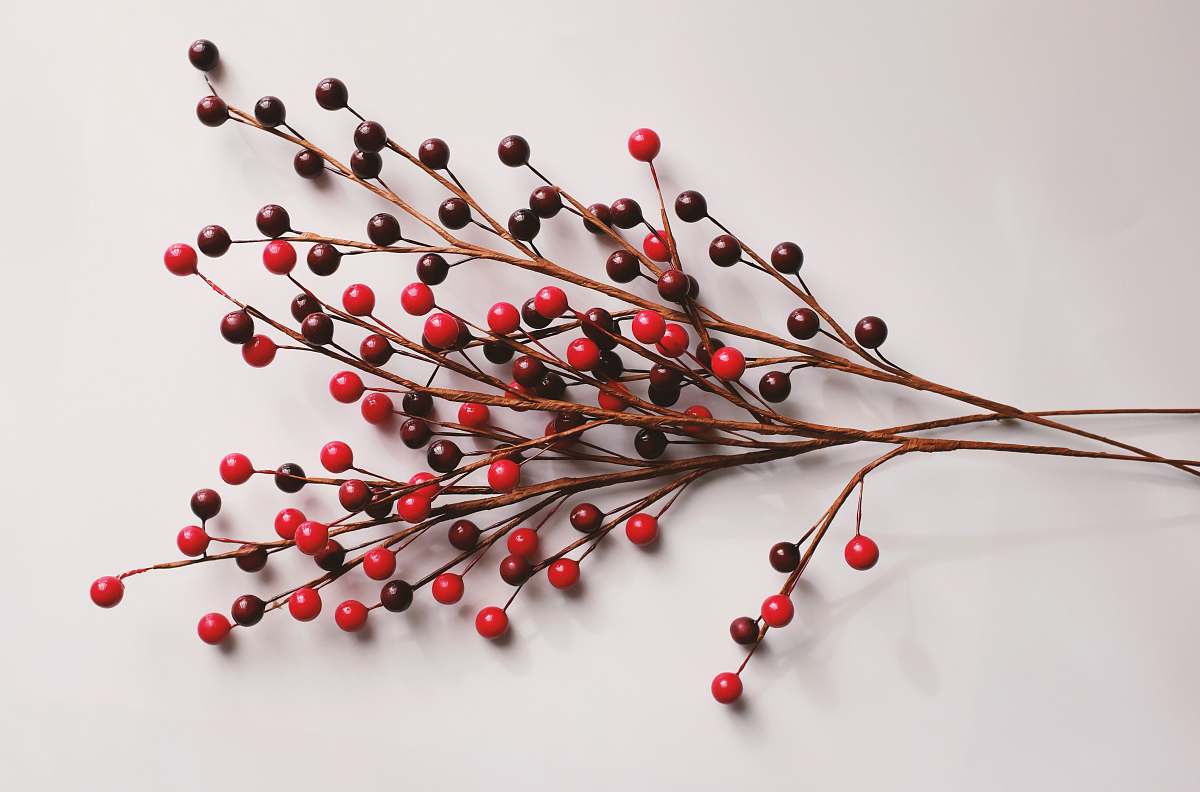 food red and brown twigs cherry