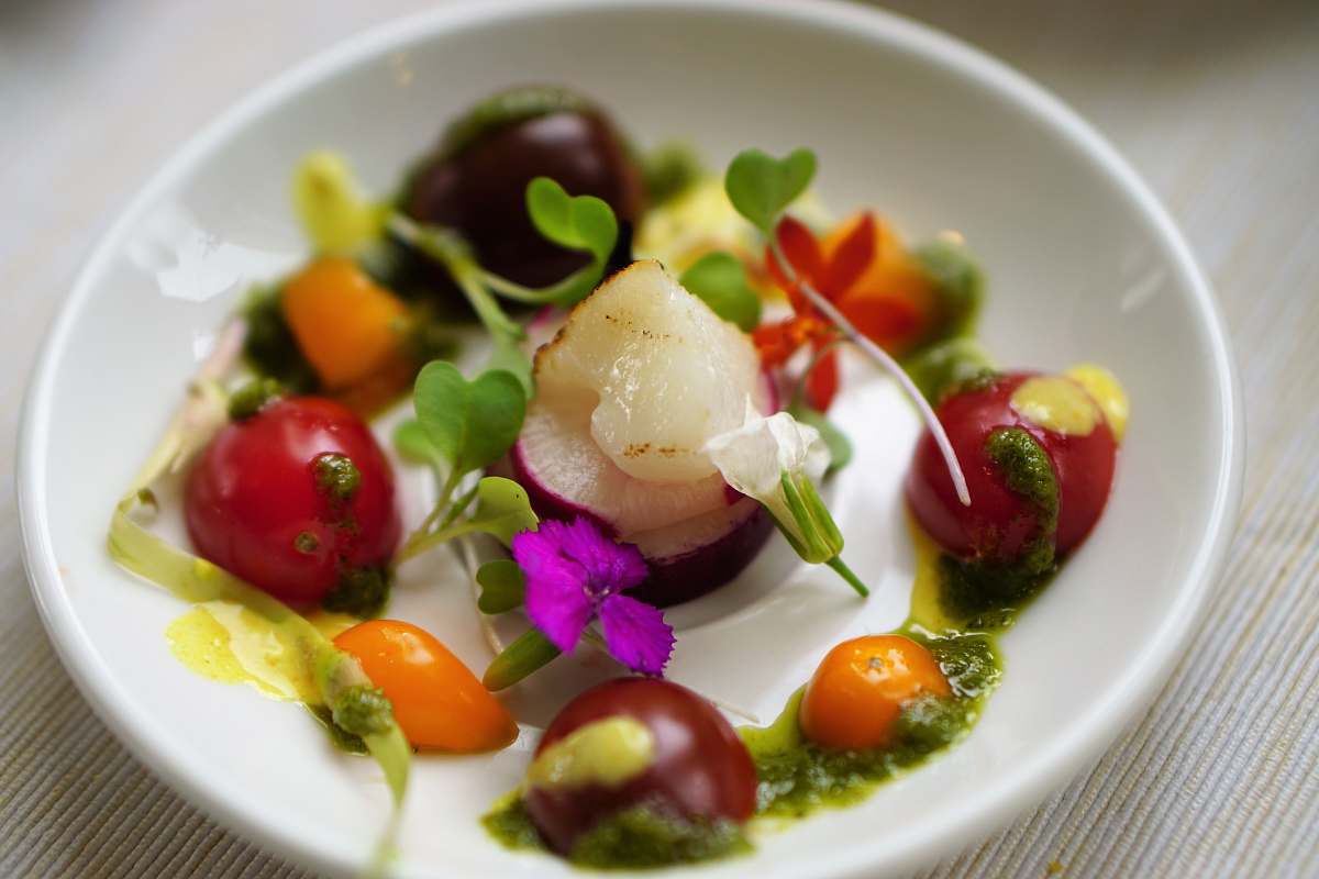 plate vegetable salad on white plate salad