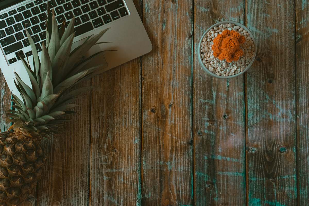 pineapple brown pineapple beside MacBook produce