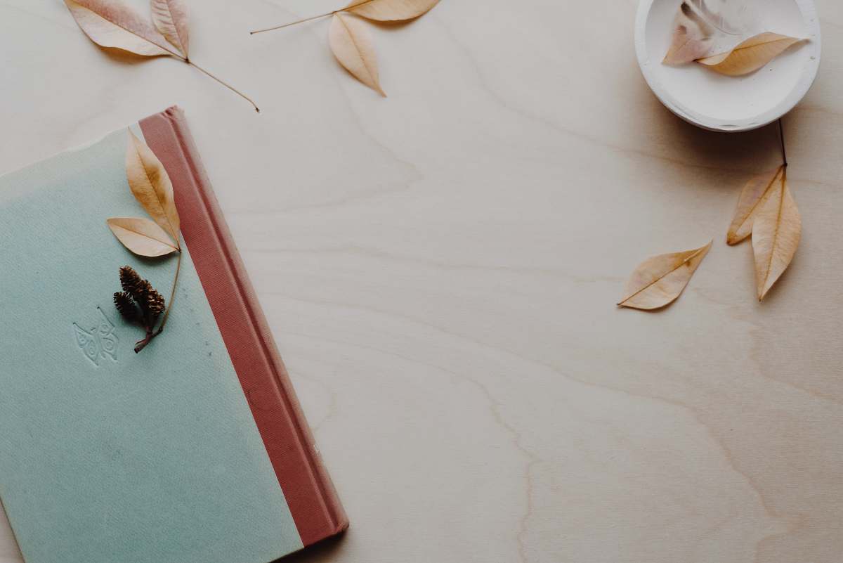 animal brown and blue hardbound book insect