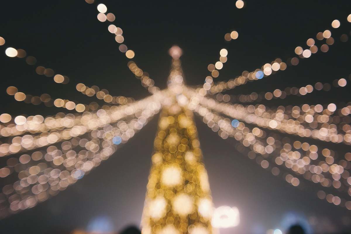 christmas bokeh photography of Christmas tree lights