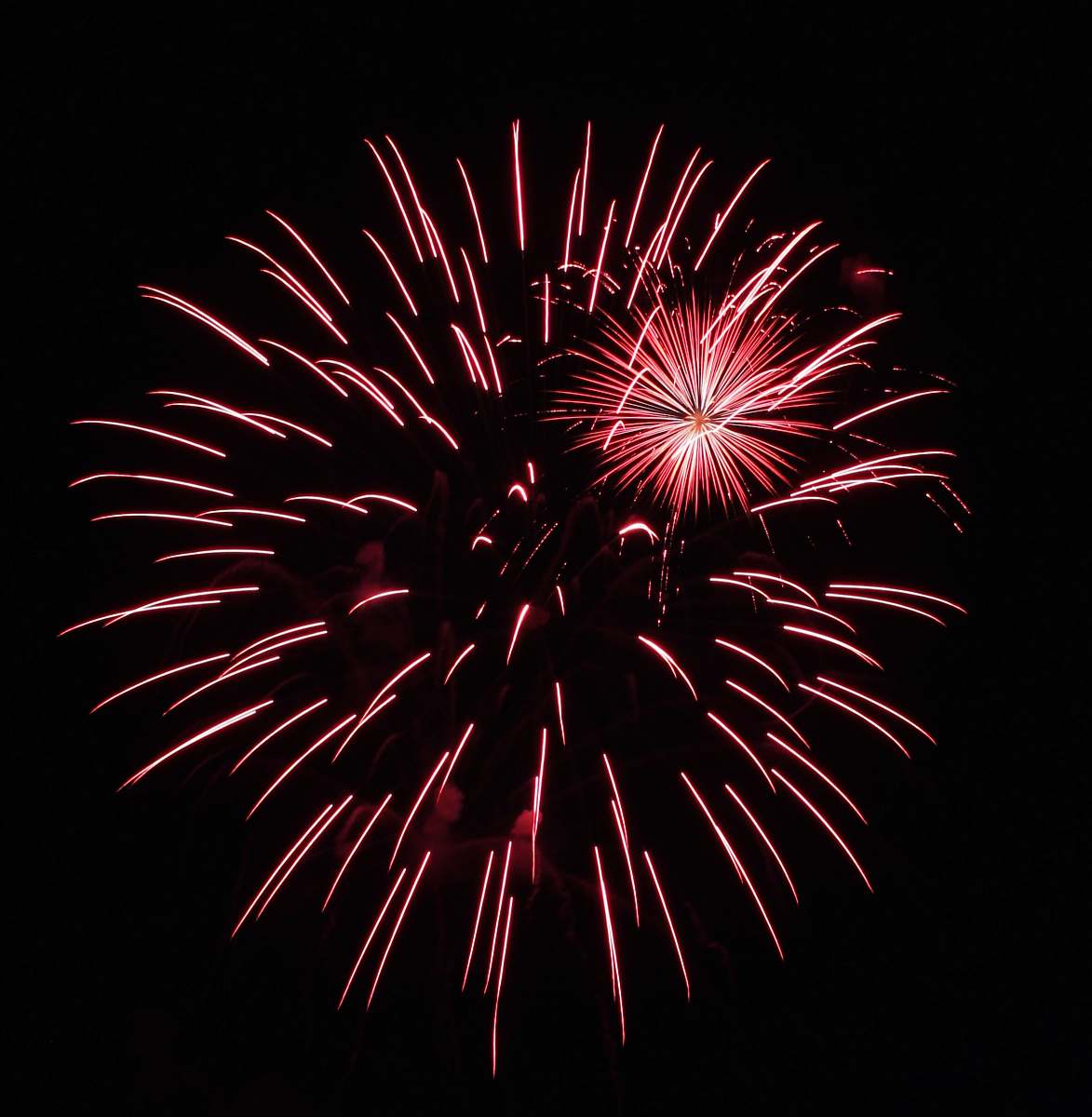 fireworks pink fireworks photography outdoors