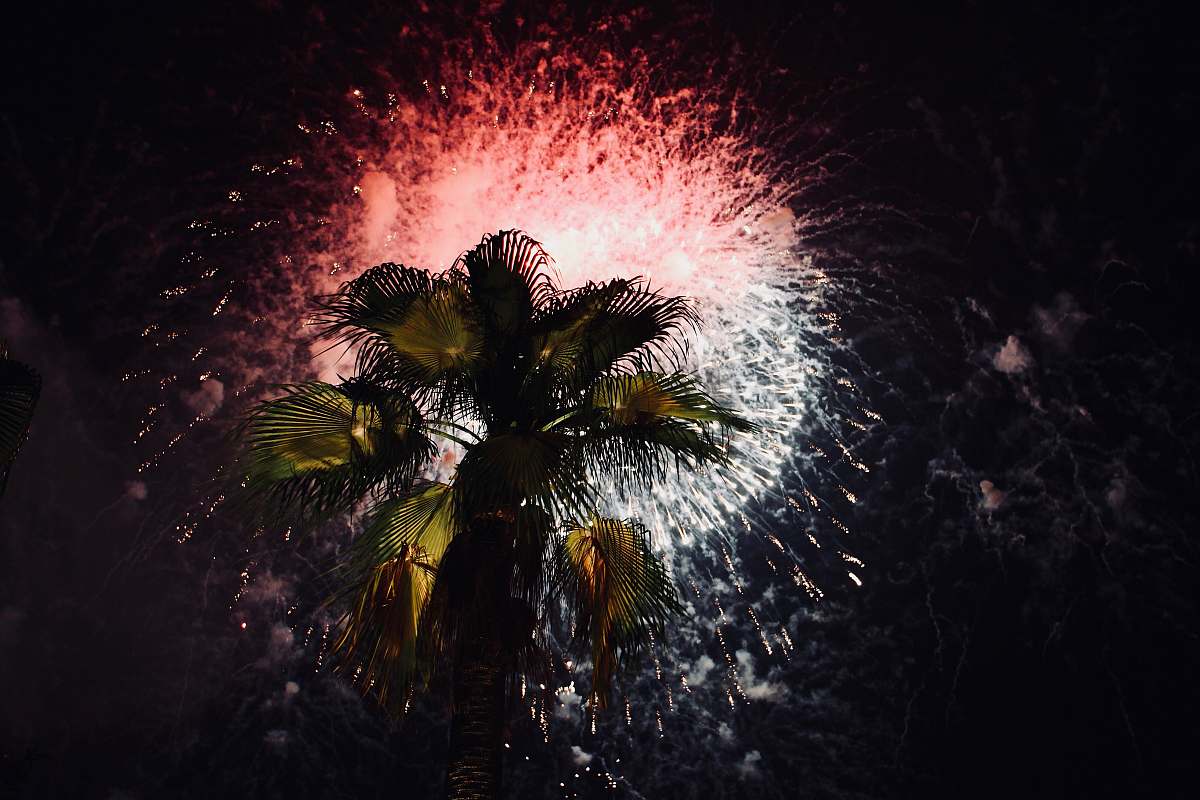 night green palm tree fireworks