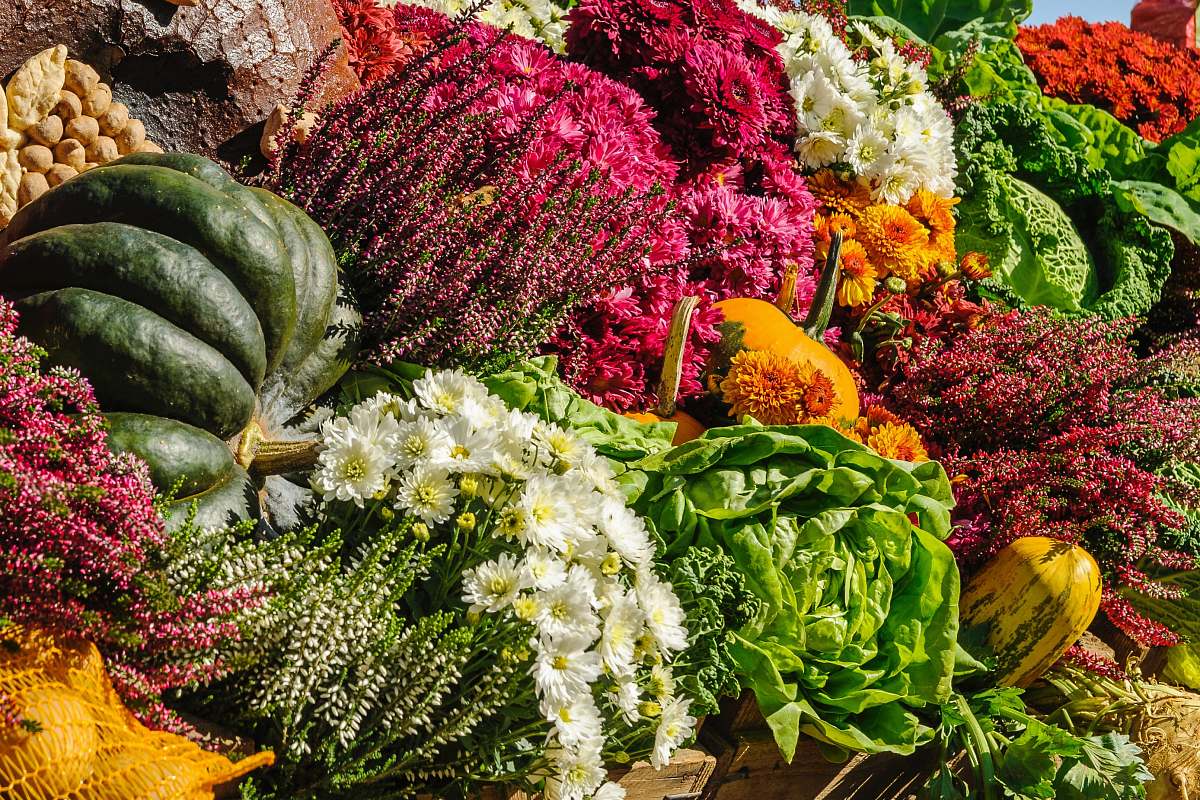 blossom assorted vegetable and flower lot flower