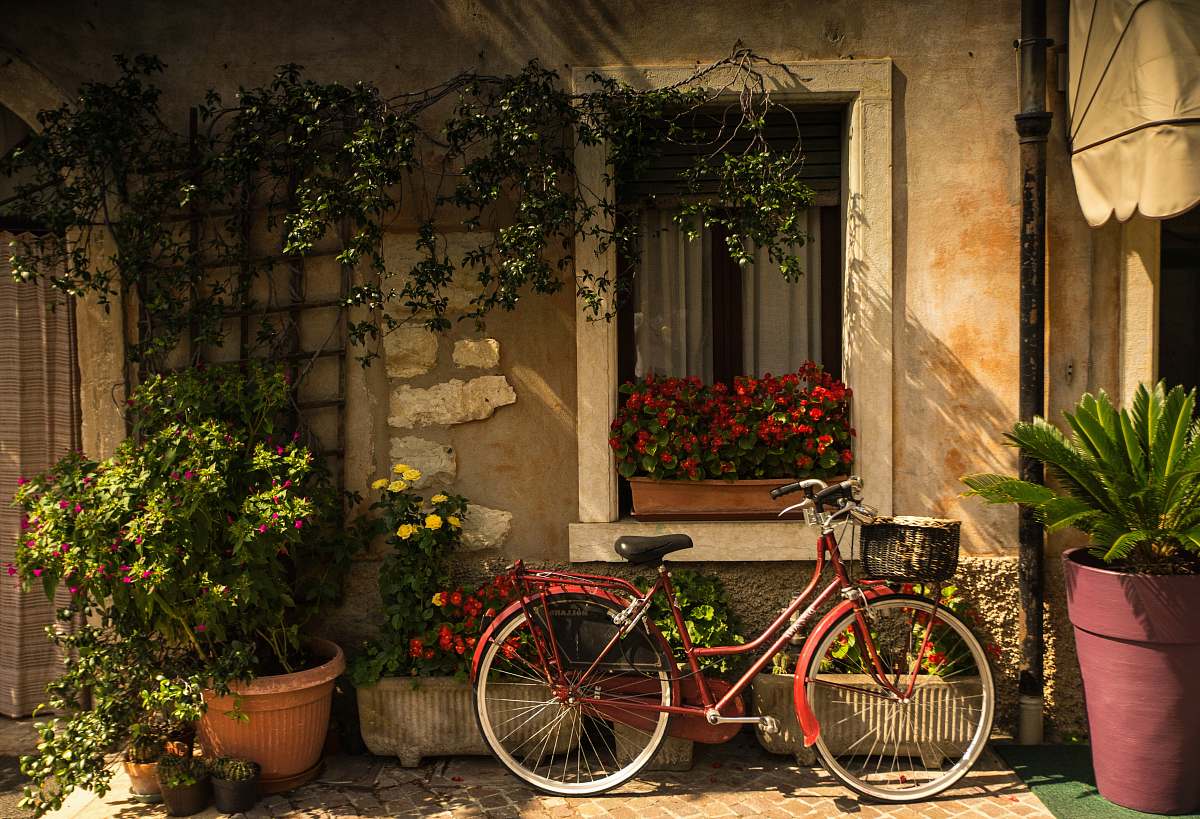 bike bicycle leaning on house bicycle