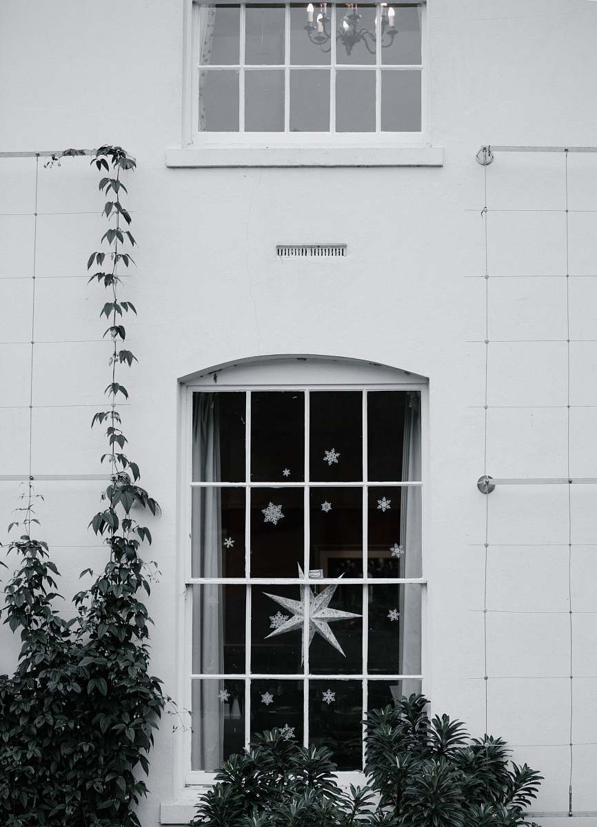black-and-white photo of white windowpane beside green leafed trees ivy