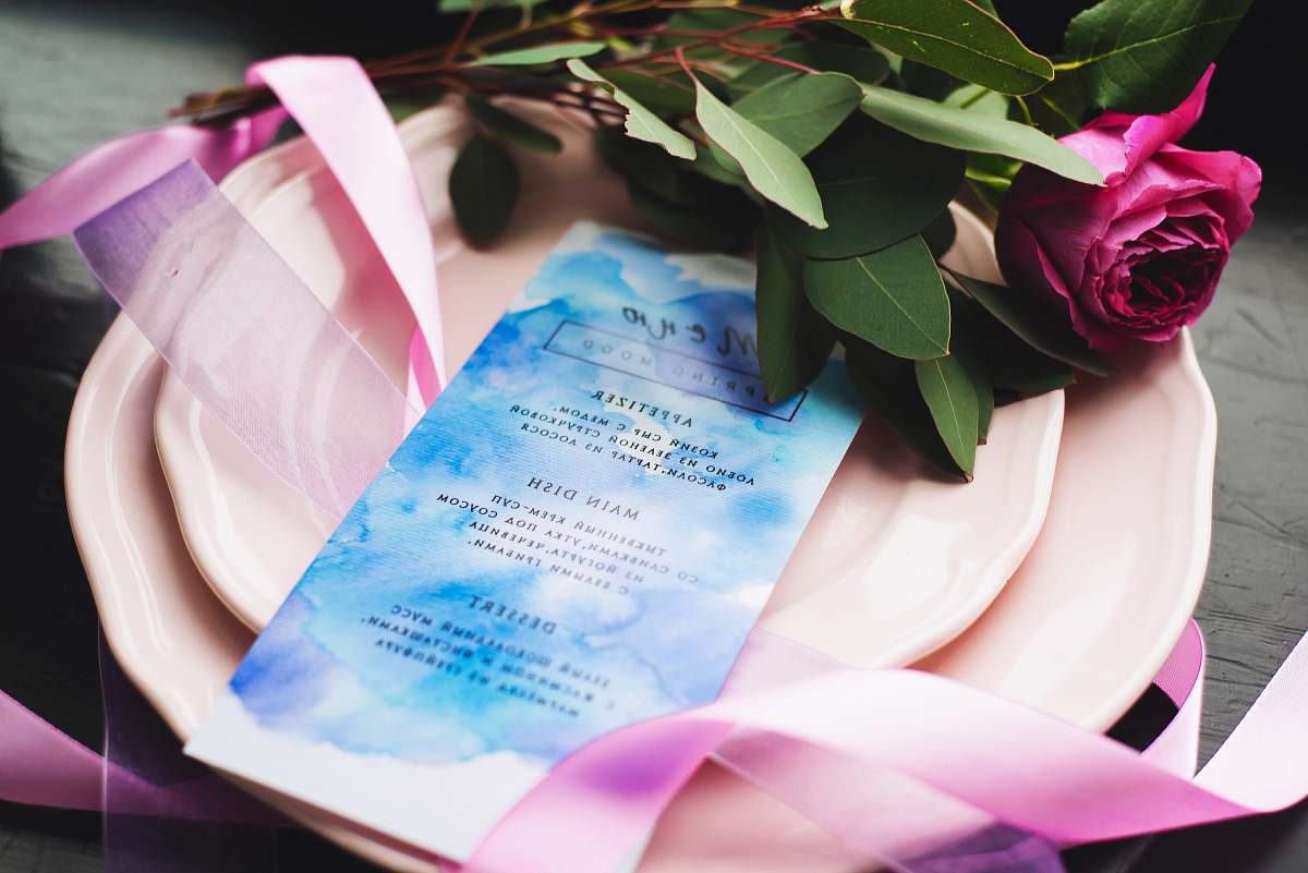 flower pink roses gift