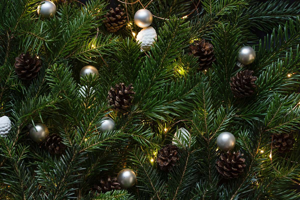 christmas closeup photo of Christmas tree with ornament and lighted lights holiday