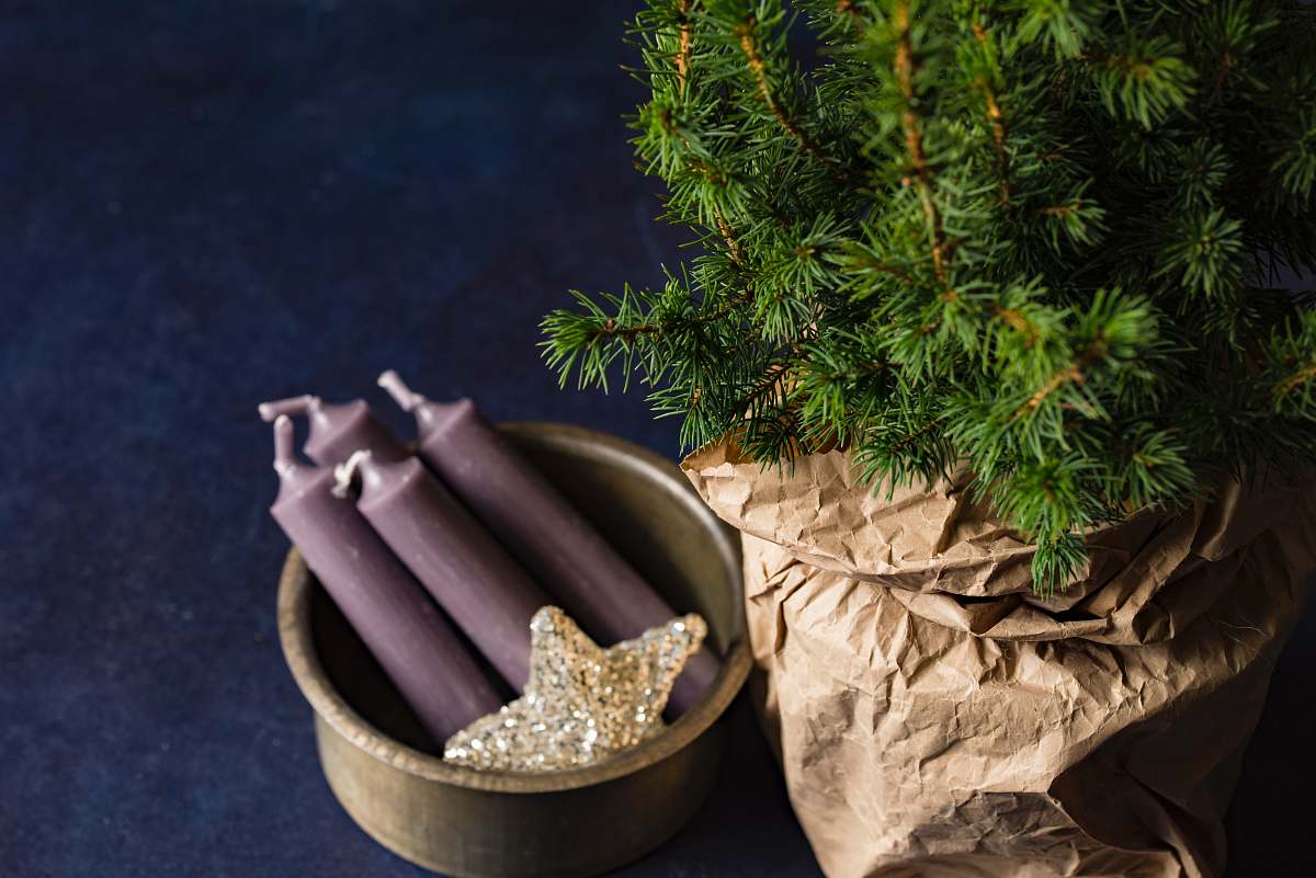 christmas four purple taper candles flora