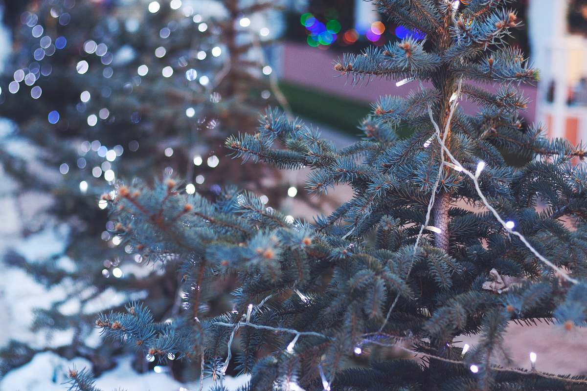 lights green Christmas tree with string lights branch