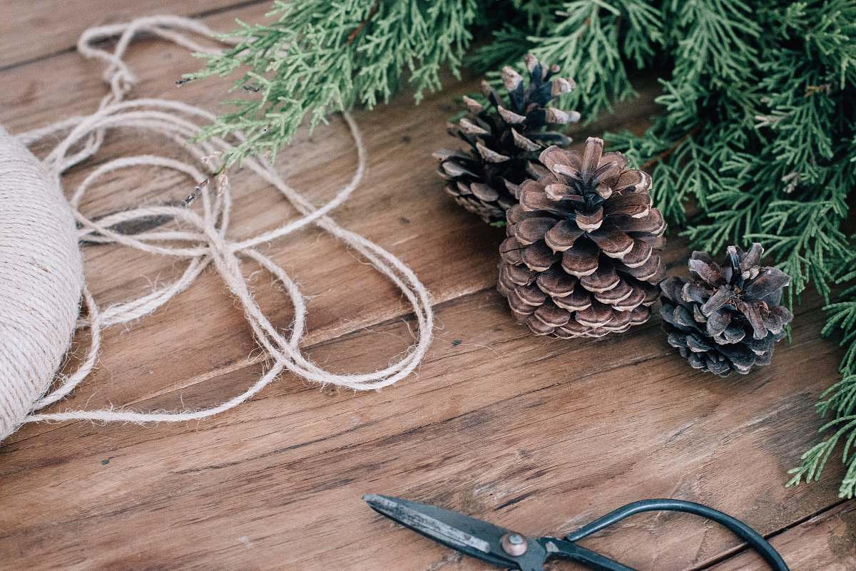 christmas pine cones beside Christmas tree flora