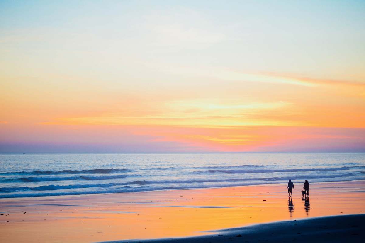 sea people walking near seashore during daytime water