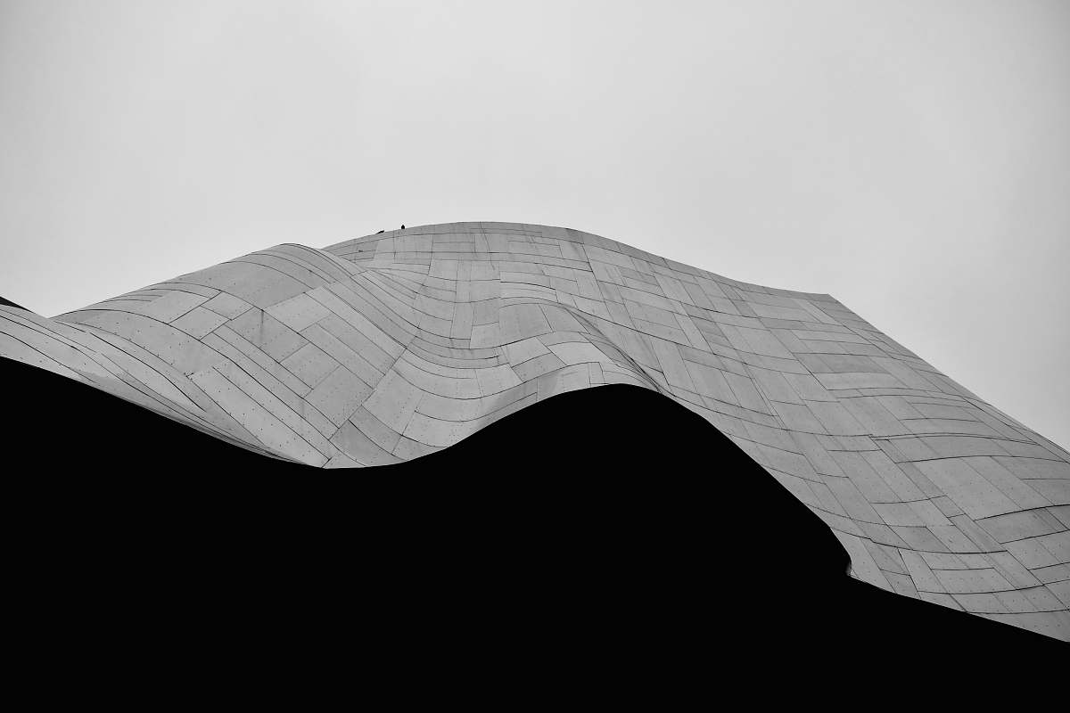 black-and-white grayscale photo of curve structure nature
