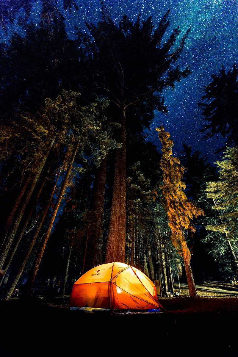 stars camping in forest during nightime tent