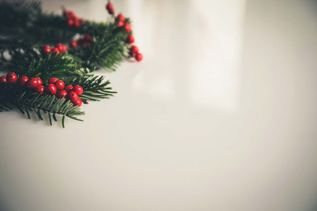 holiday closeup photography of green Christmas tree leaf ornament