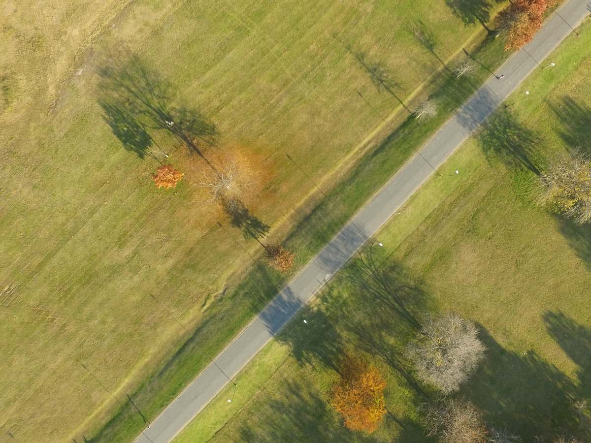 road empty road between trees near grass field at daytime lane