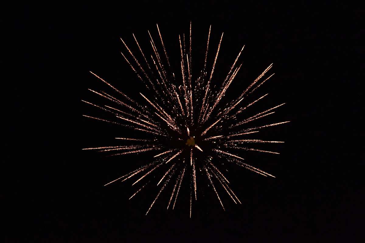 night fireworks display during nighttime outdoors