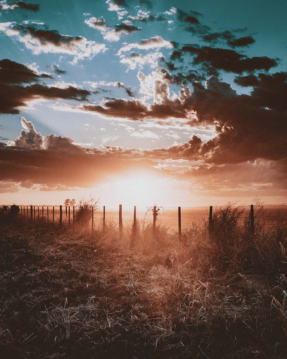 light grass field with fence during golden hour outdoors