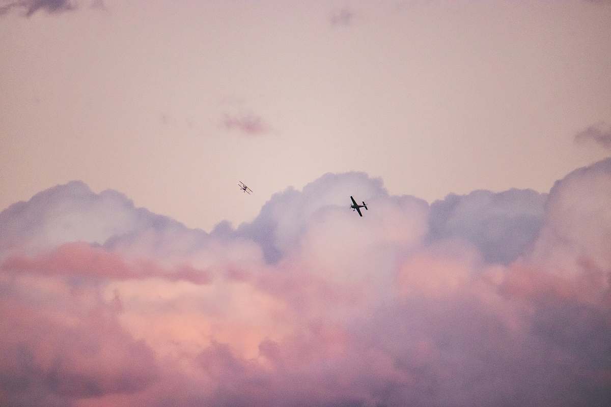 bird silhouette photography of airplane during flight during daytime animal