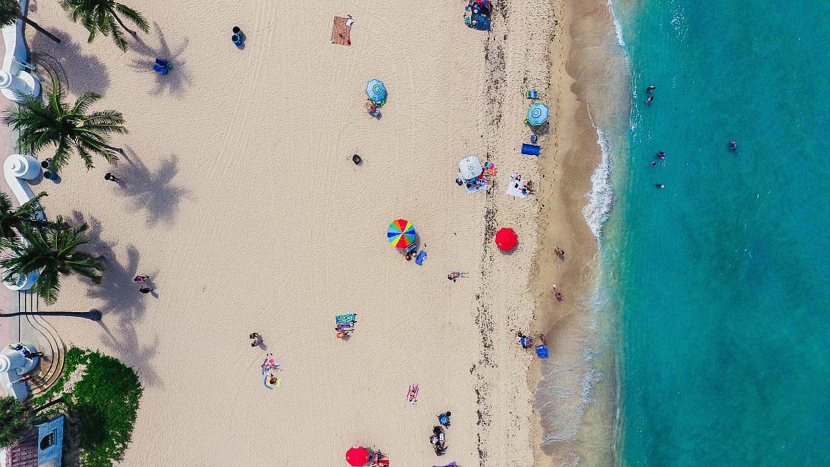 beach aerial photography of people gathering on shore palm tree